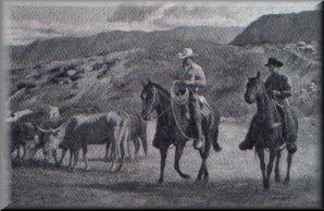 cowchs.jpg (17024 bytes)